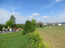 b_215_215_16777215_0_0_images_stories_akt14_140406-sosp_140406-neckarwestheim-a.jpg