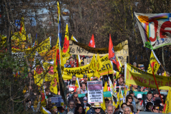 Weiterlesen: Fukushima außer Kontrolle - Videos